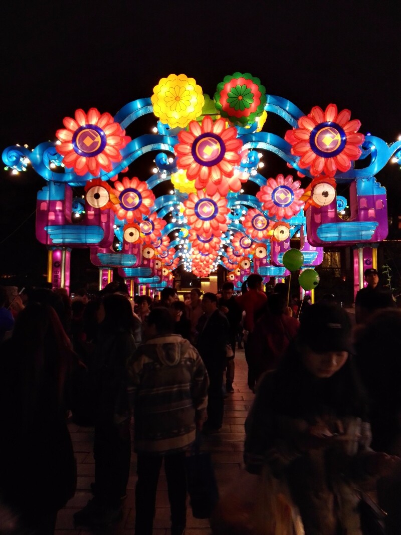 探春庆丁酉新春逛秦淮灯会二