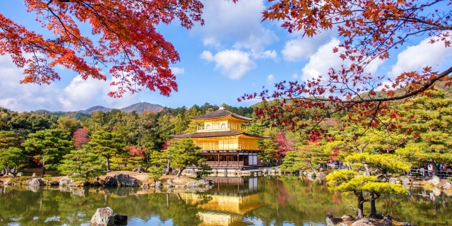 城市图片