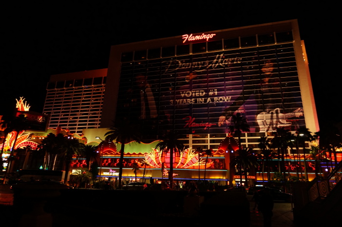 火烈鸟拉斯维加斯酒店(flamingo).酒店内真的养着火烈鸟哦