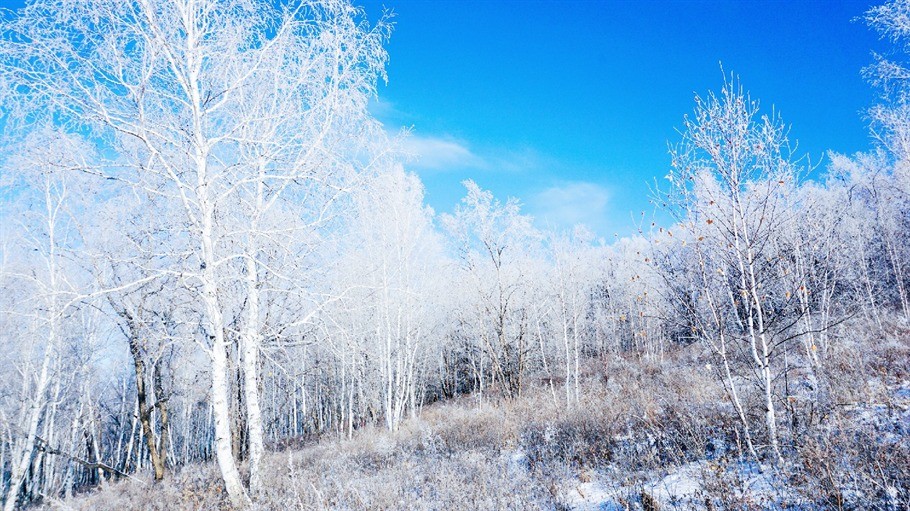 大雪满弓刀——呼伦贝尔的冰雪天地行