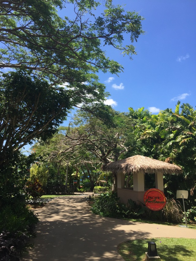 爱在塞班岛~重返关岛