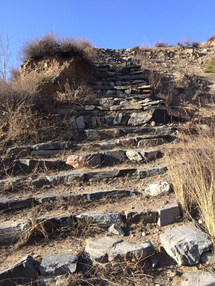 报君黄金台上意,提携玉龙为君死.