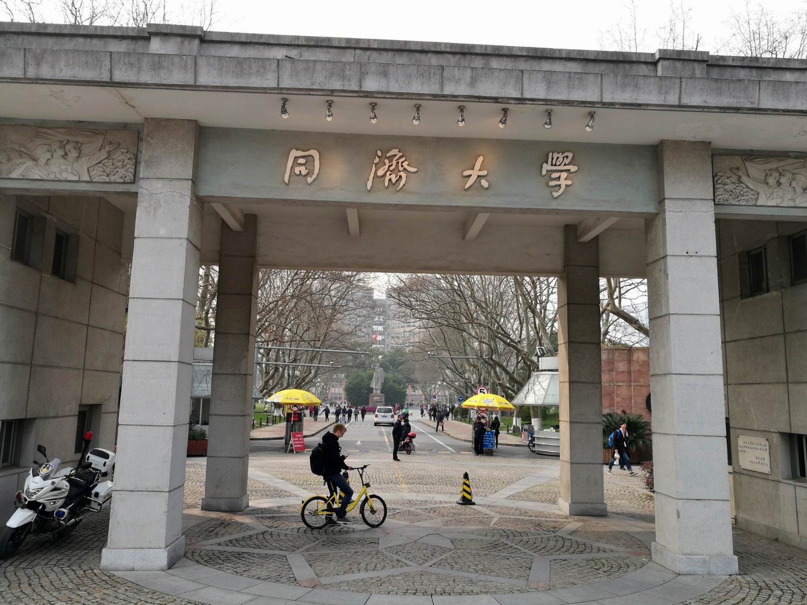 1天同济大学最美校园春游玩法_上海线路玩法_上海旅游线路推荐