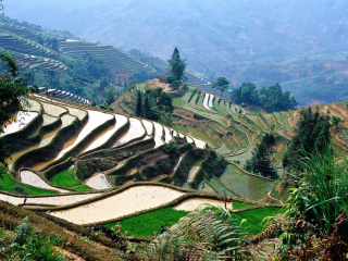 元阳梯田