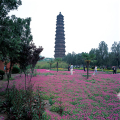 开封铁塔