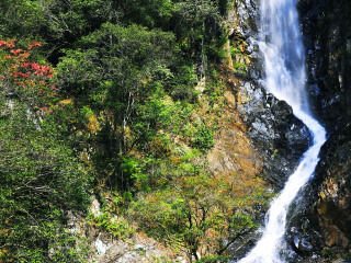 天竺山森林公园