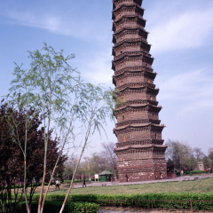 景点模块 