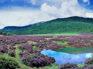香格里拉小中甸