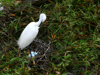 秦岭野生动物园