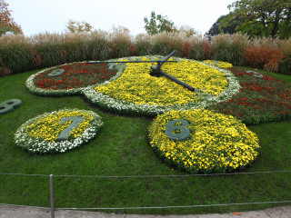 大喷泉和大花钟