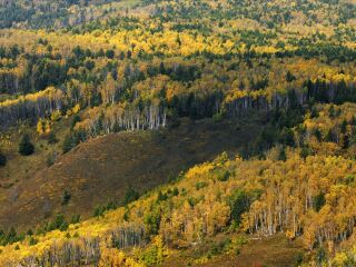 鹫峰国家森林公园