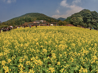 石门国家森林公园