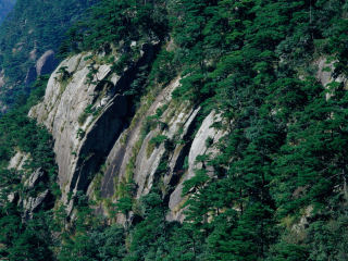 牯牛降自然保护区