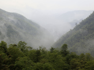 湖州安吉浙北大峡谷