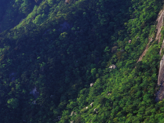 牯牛降自然保护区