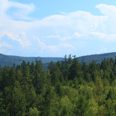 凤凰山国家森林公园