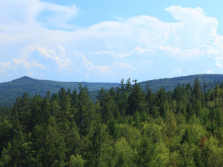 凤凰山国家森林公园