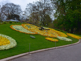 大喷泉和大花钟