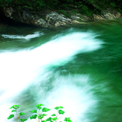 黄山翡翠谷