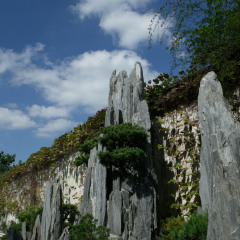 留园