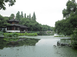 杭州曲院风荷景区