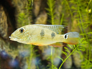 上海长风海洋世界