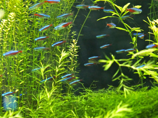 上海长风海洋世界