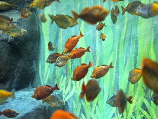 上海长风海洋世界