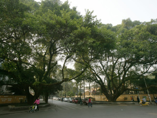 王城