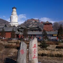 景点模块 