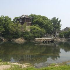 奉化