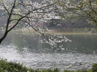 杭州桐庐天子地生态旅游区