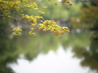 杭州桐庐天子地生态旅游区