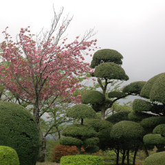 平和公园