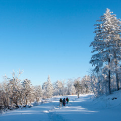 亚布力大青山滑雪场