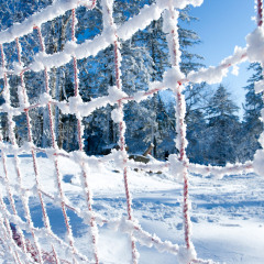 龙珠二龙山滑雪场