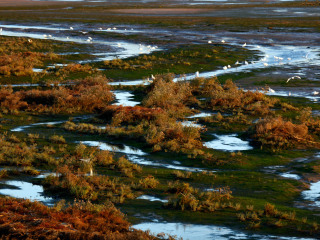 日照海滨国家森林公园