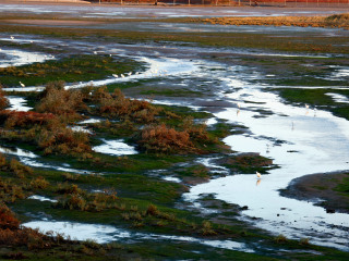 日照海滨国家森林公园