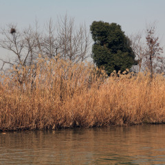 西溪国家湿地公园