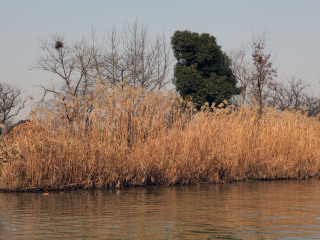 西溪国家湿地公园