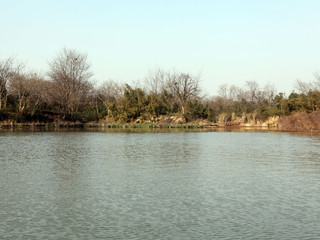西溪国家湿地公园
