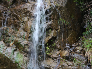 湖州安吉藏龙百瀑