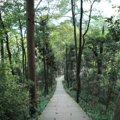 宝台山森林公园