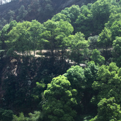 宝台山森林公园