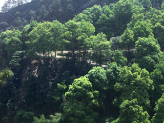 宝台山森林公园