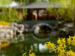 京城水系皇家御河