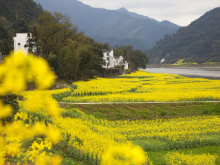 新安江山水画廊