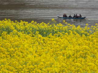 新安江山水画廊