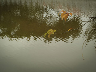 嘉兴南湖风景区