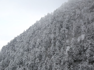 西岭雪山